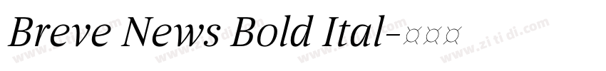 Breve News Bold Ital字体转换